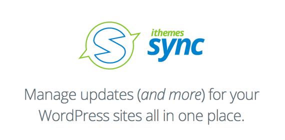 iThemes Sync